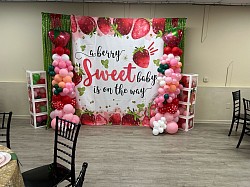 Baby Shower Backdrop